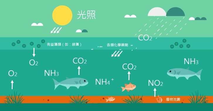 適合魚蝦生長的重要指標：pH酸鹼值